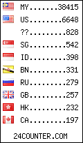 visitors by country counter