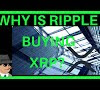 Is Ripple Worth Buying 2020 : Ripple Bought $46 Million Worth of XRP in Q3, 2020 - Coin ... / Ripple's cryptocurrency started this year hovering around the $0.20 level.