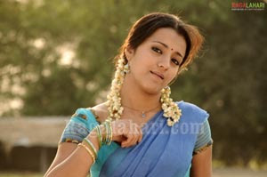 Trisha Photo Gallery
