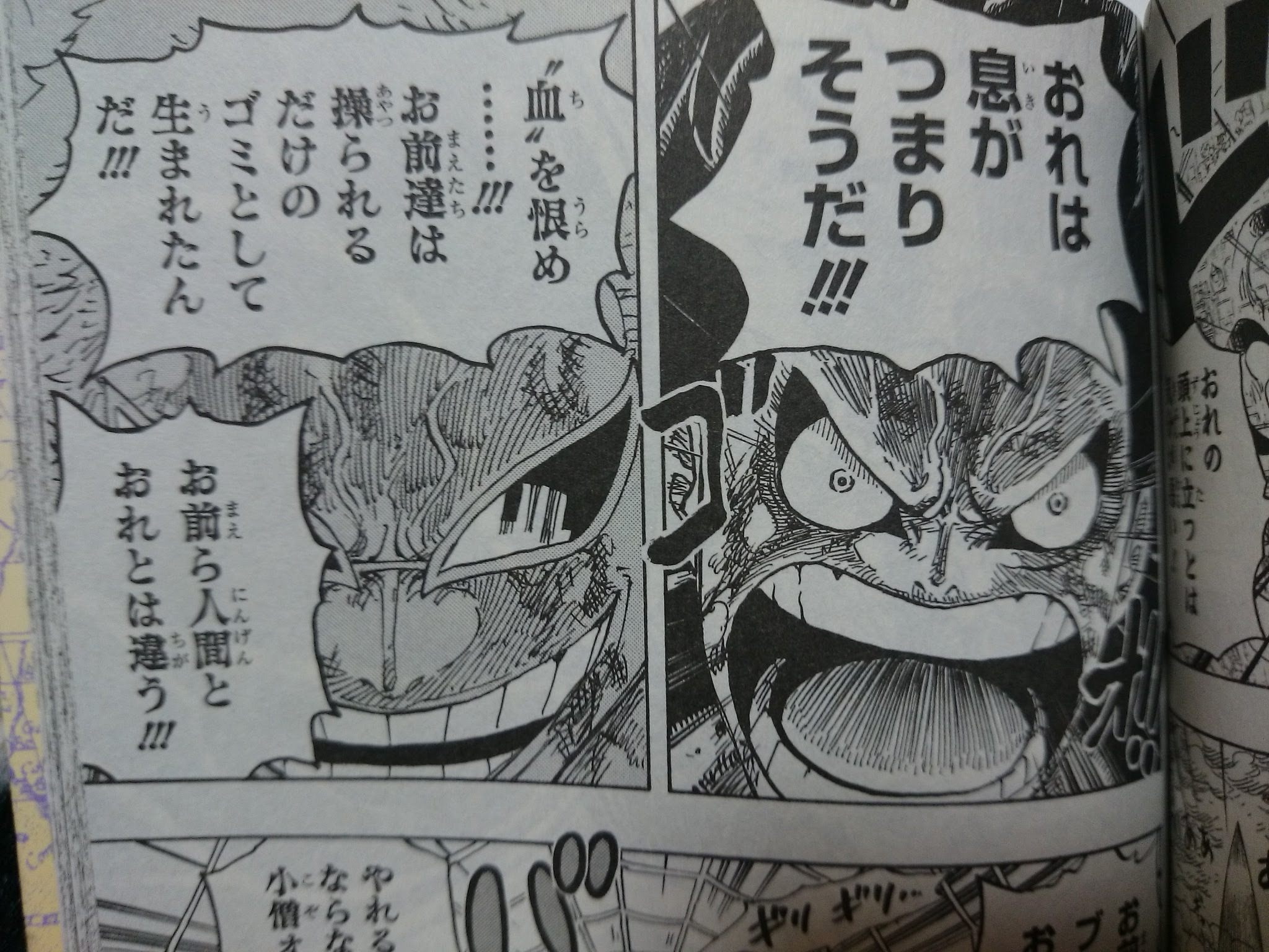 ワンピース 79巻 ゆる い日記