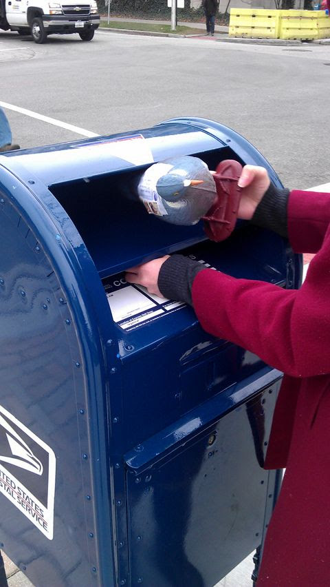 LWA The Pigeon Post