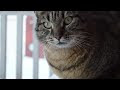 Video Nikon D3200 test (unedited)