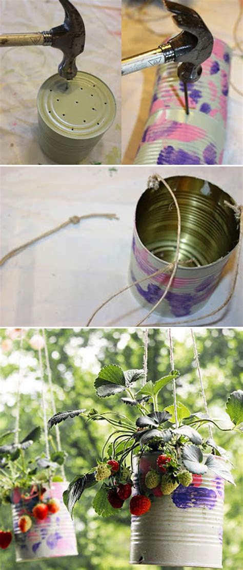 creative diy ideas  growing strawberries  small