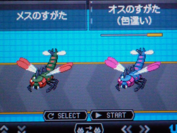 色違いメガヤンマ育成しました キラリン ポケモン奮闘記