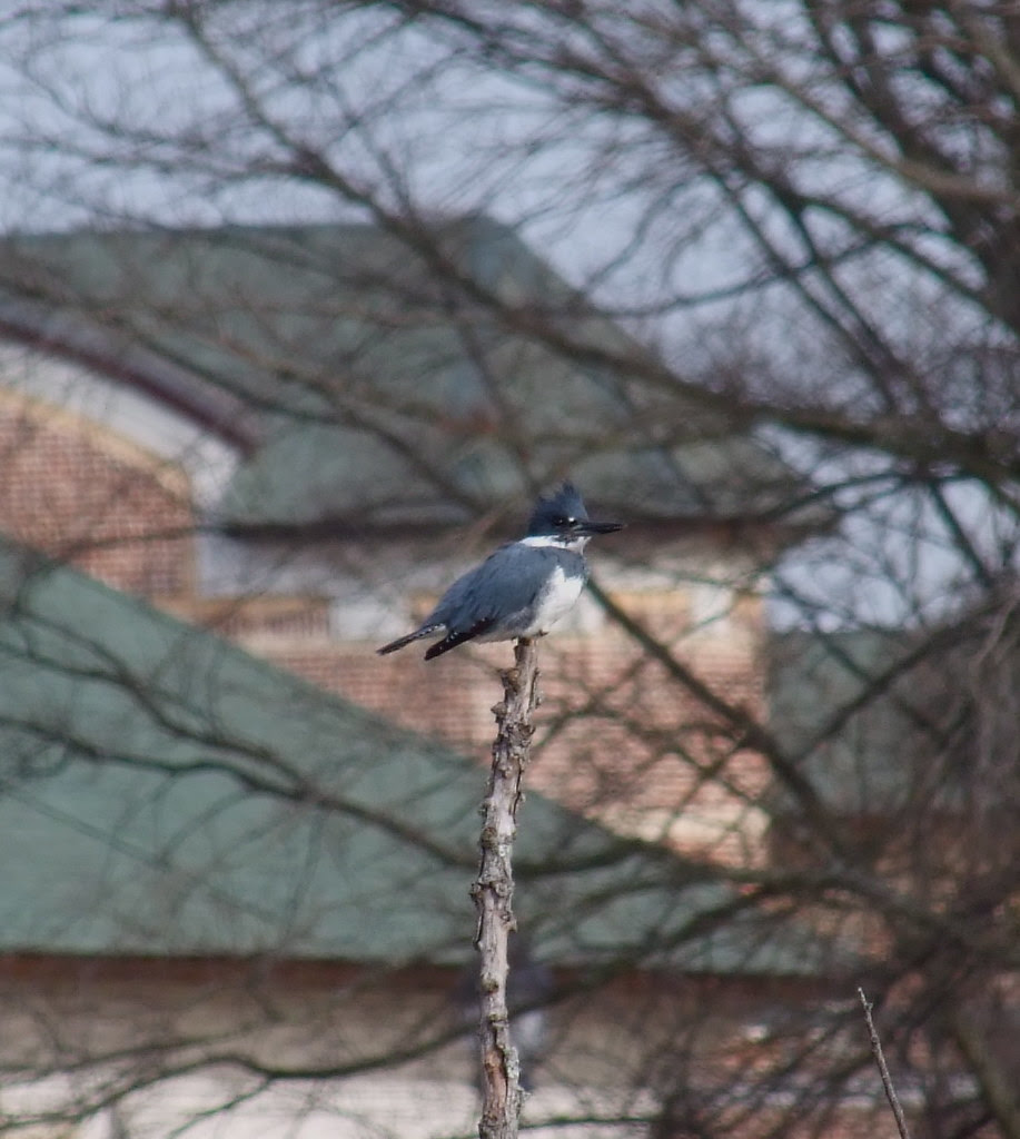 DSCF1655