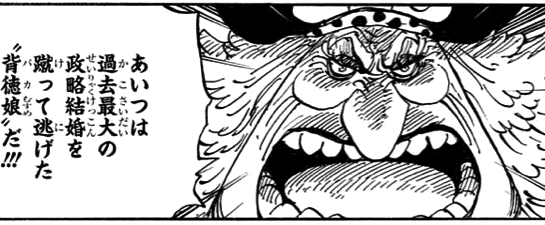 Onepiece 847 ルフィとビッグ マム 我思う故に 新館我思う故に 新館