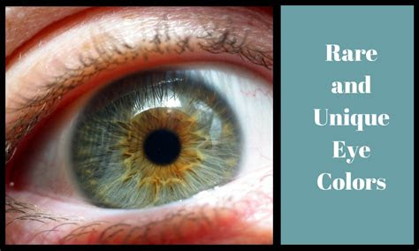  6 rare and unique eye colors owlcation