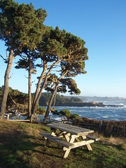 20071020 Picnic Spot