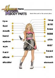 girl body parts name | Diabetes Inc.
