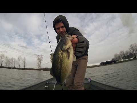 イタリアのバスフィッシング動画が 何故かお洒落に見え過ぎる Buzzfisher