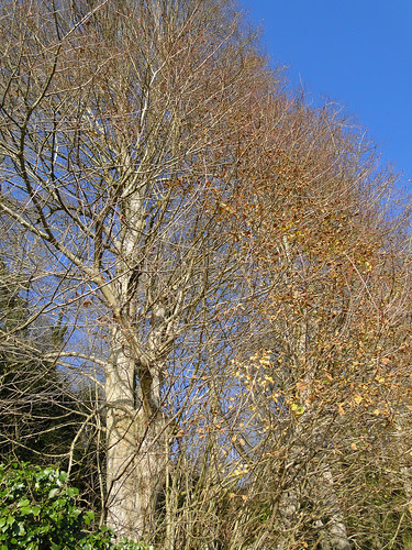 DSC00557
