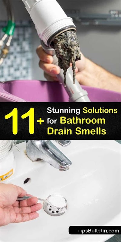 Interior Decorator: Smell From Bathroom Drain