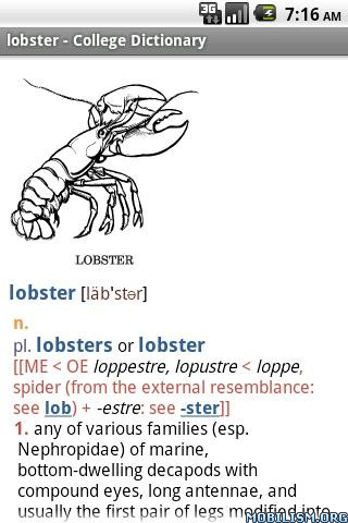 Websters Dictionary+Thesaurus v4.3.059