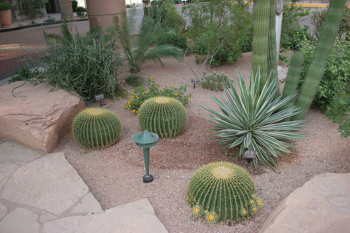 Desert Landscaping Desert landscaping items for the home garden ...