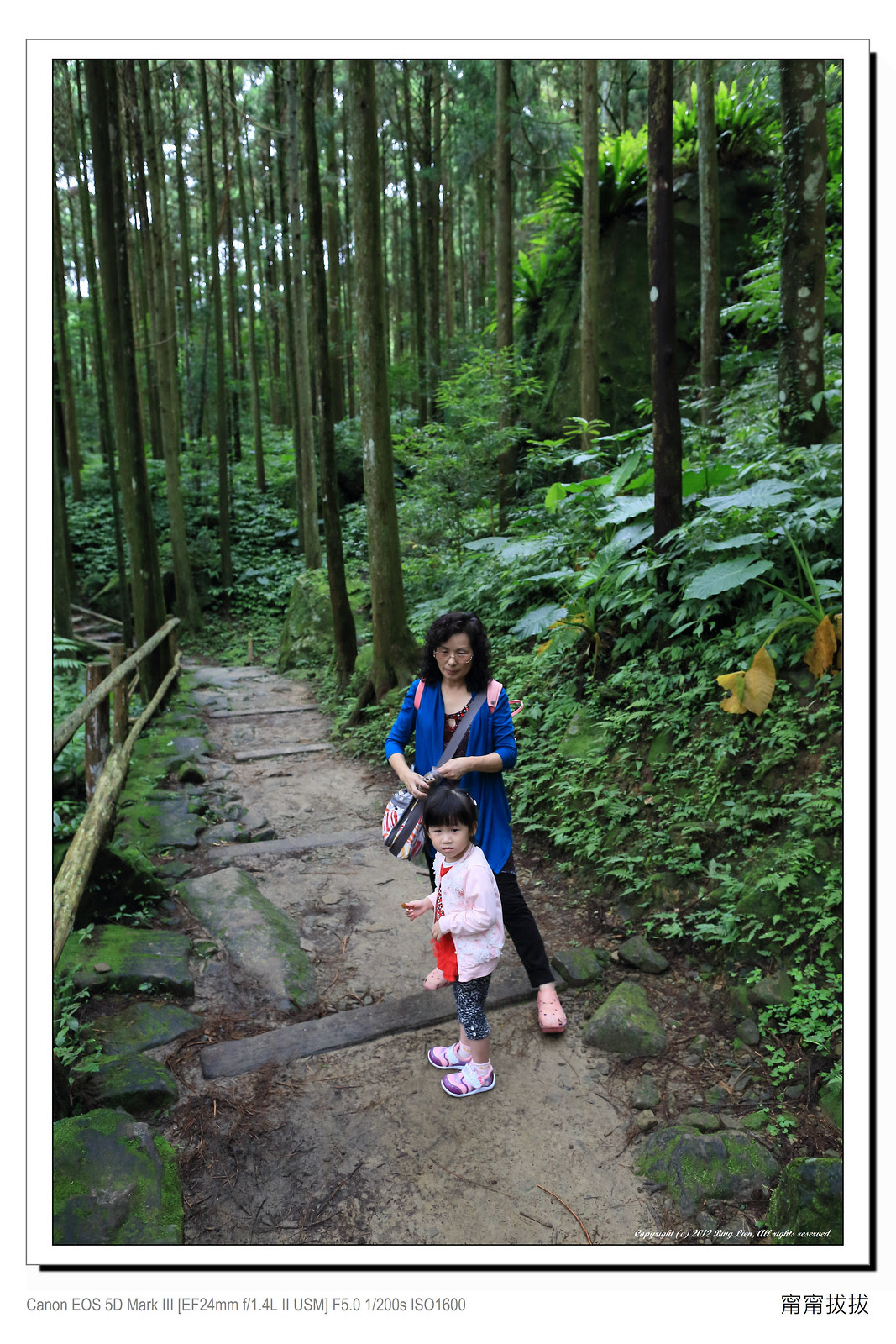 frame_BING0347