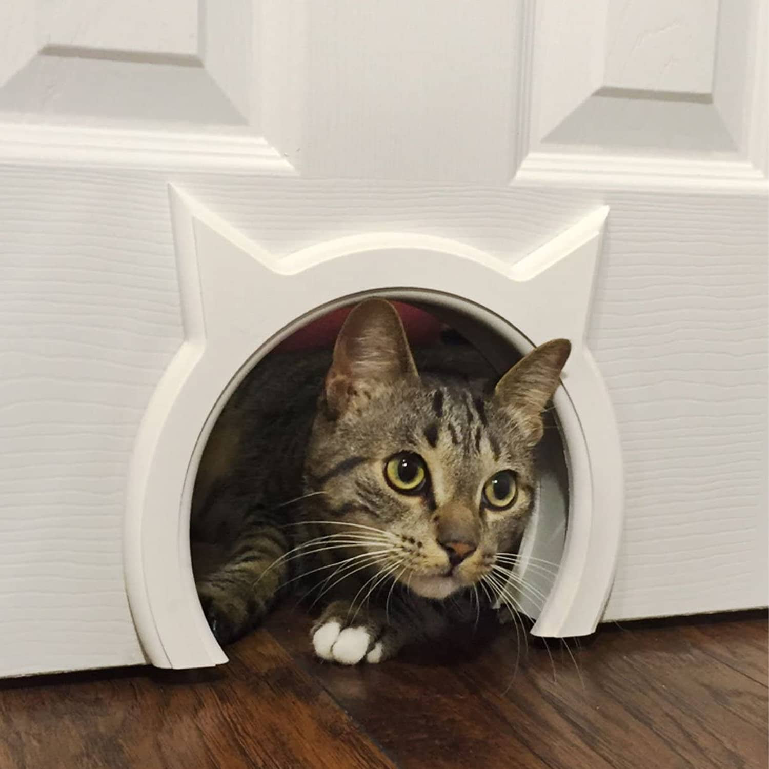 Kitty Pass Interior Cat Door The Green Head Kitty Pass Interior Cat Door The Green Head
