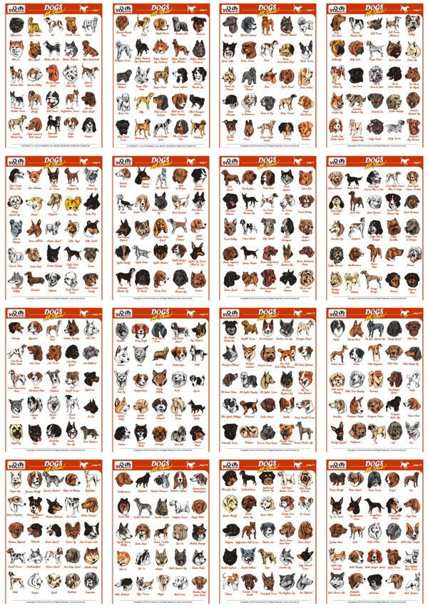 Download gran mastin de borinquen clipart - Clipground