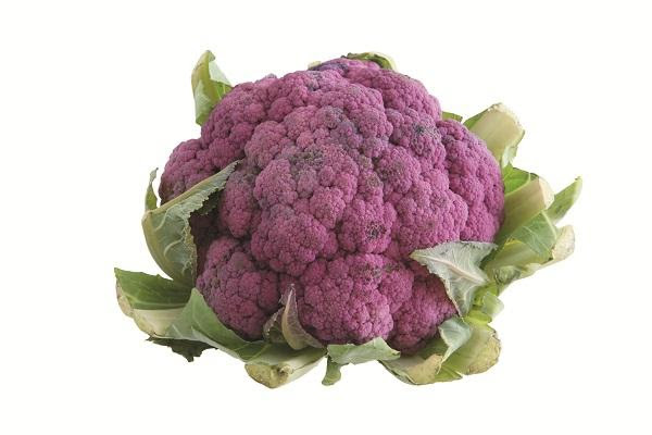 我們來種抗氧食材紫花椰菜 愛生活 365 痞客邦