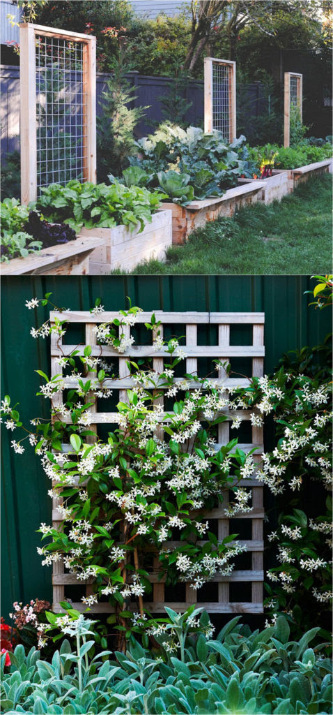 20 Cheap And Easy DIY Trellis & Vertical Garden Structures