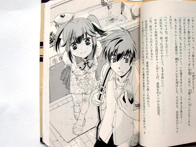 小説 フルメタル パニック アナザー １巻 を買ってきた Y型ヒキコモリ日誌