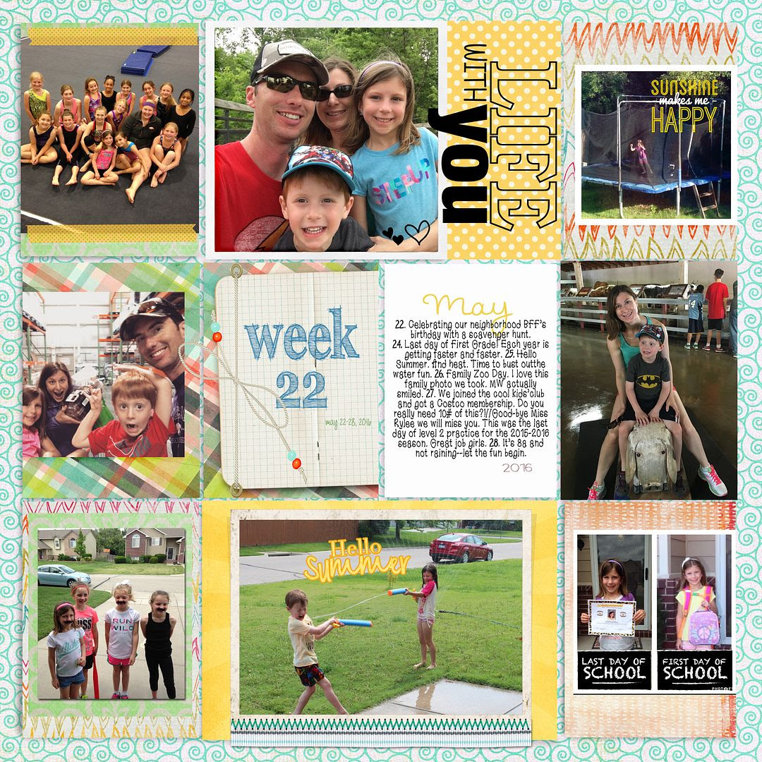  photo 22 week May 2016.jpg