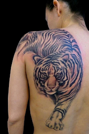 Tren Gaya 36+ Gambar Tato Harimau