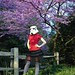 In a Garden, far far away...