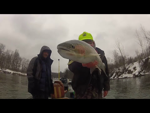 Video: Winter Steelhead Fishing 2015