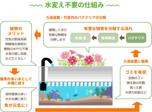 待合室の飼育展示 大阪市鶴見区 大東市で動物病院は さくもと動物病院