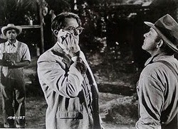 PICTURES FROM THE OSCAR WINNING MOVIE To Kill A Mockingbird PICTURES FROM THE OS