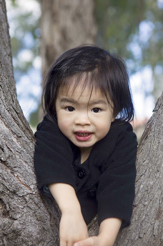 Hanging in a tree...
