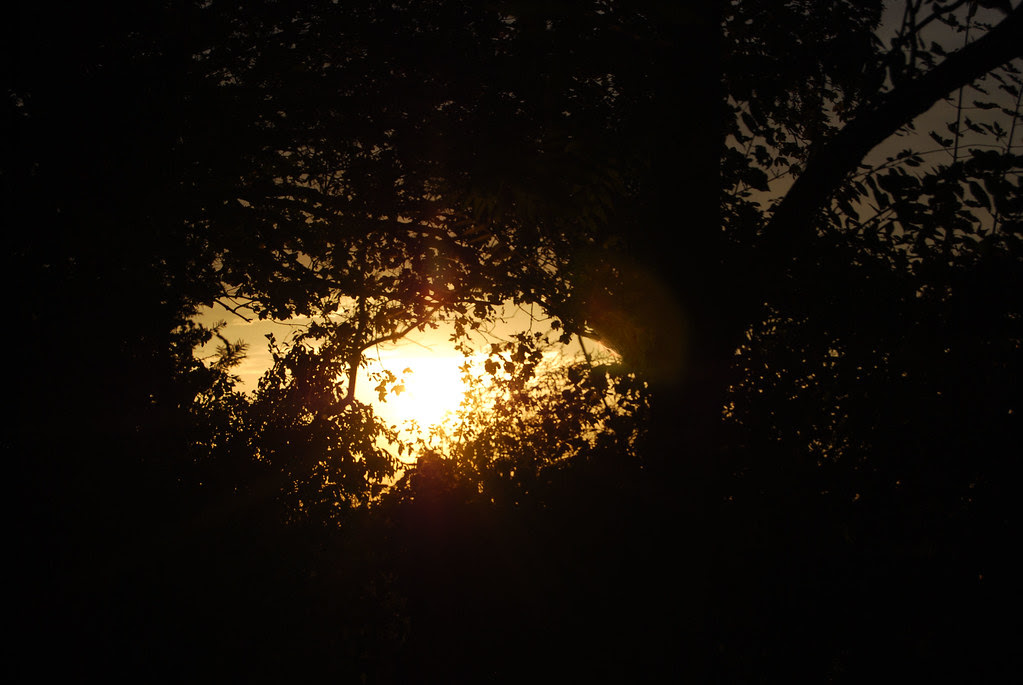 DSC_0733_