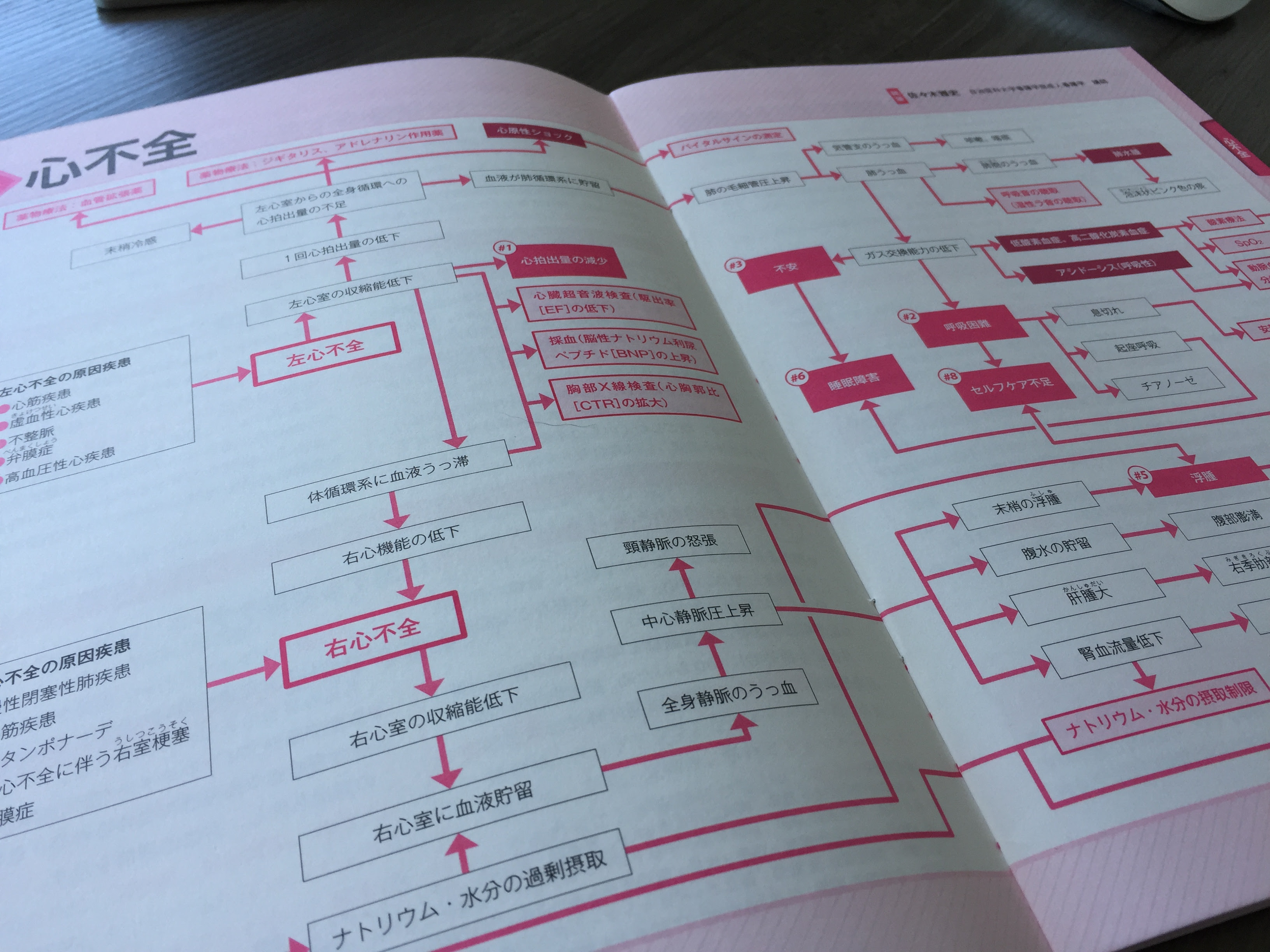 看護実習に役立つ関連図をいちから学ぶ 病態関連図の見方 書き方 デキる看護師になる為の看護実習が100倍充実する学び方 教え方 ユアナーシング