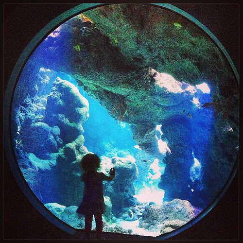 At the @calacademy on Friday.