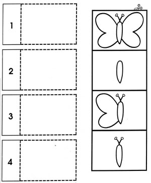 Dessins Progressifs Apprendre à Dessiner Pas à Pas Quoi De