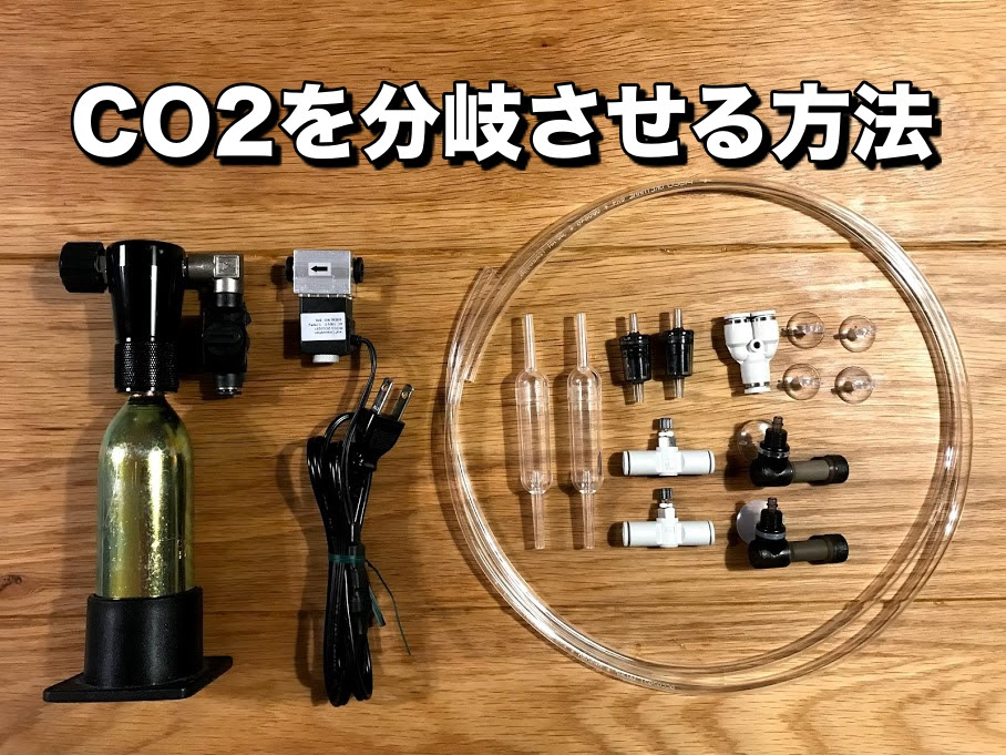 Co2を分岐させて２つの水槽に添加する方法を実際にやってみた Aqua24アクアリウム