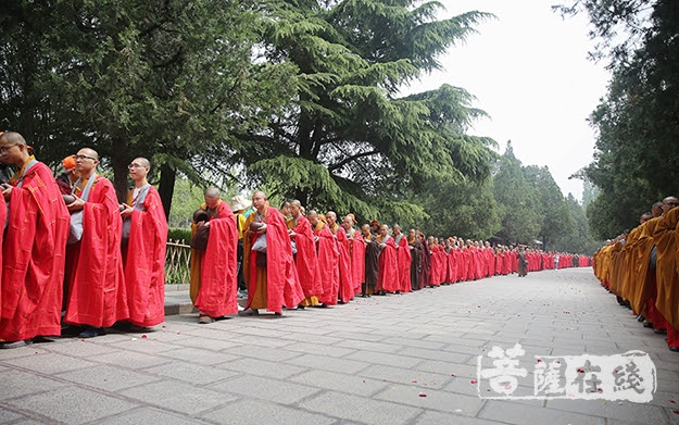 恪守佛制嵩山少林寺500位新戒比丘托钵乞食 佛宝网