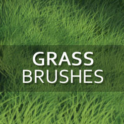  Grass  and Foliage Photoshop  Brushes  PSDDude