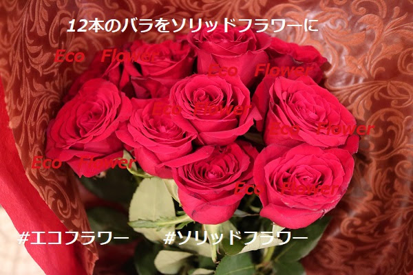 新着情報 エコフラワー