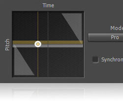Vegas Movie Studio HD Platinum 10 elastique Pro