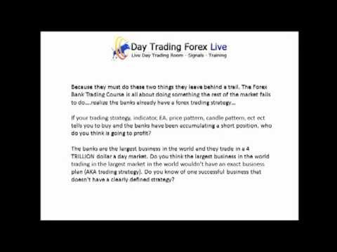 Day Trading Forex Live Why Traders Fail - 