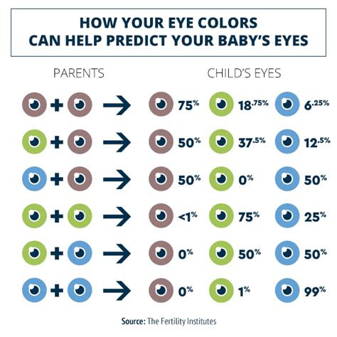  the best 11 how to determine your babys eye color aboutmorningtoon