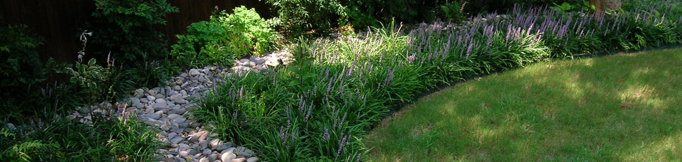 north texas landscaping plants landscape garden design ideas north ...
