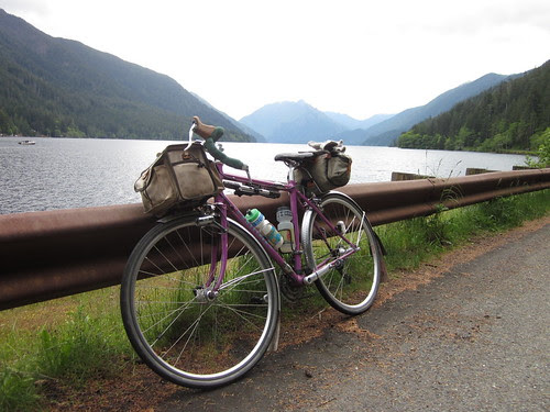 Sweetpea at Lake Crescent