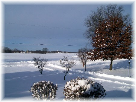 Snow storm 12/20/09