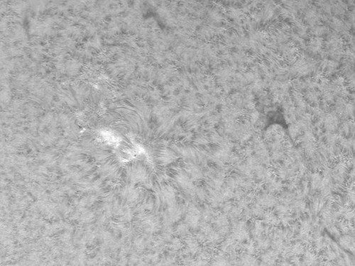 AR11488 by Mark Townley