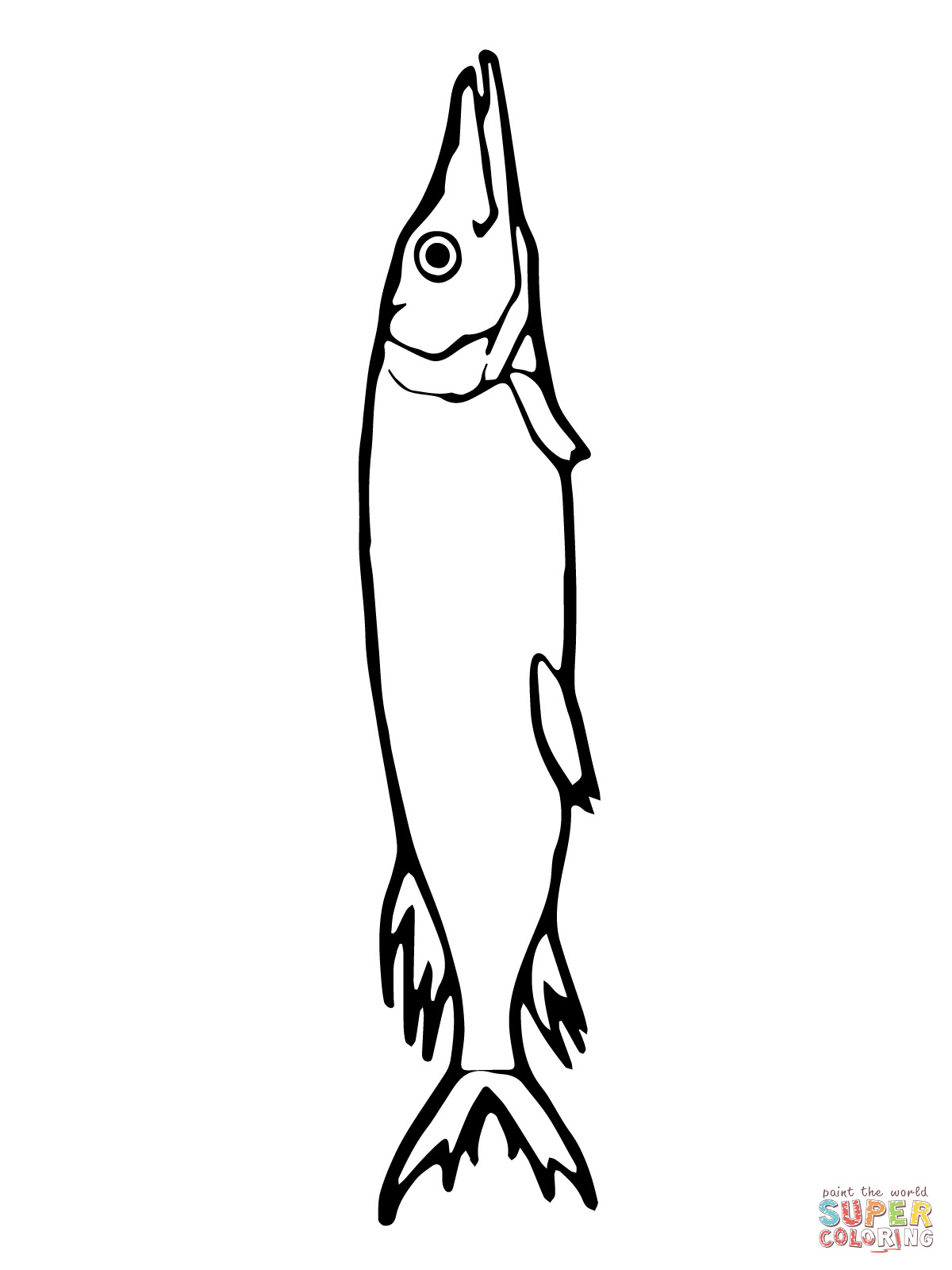 Pike Fish coloring page Free Printable Coloring Pages