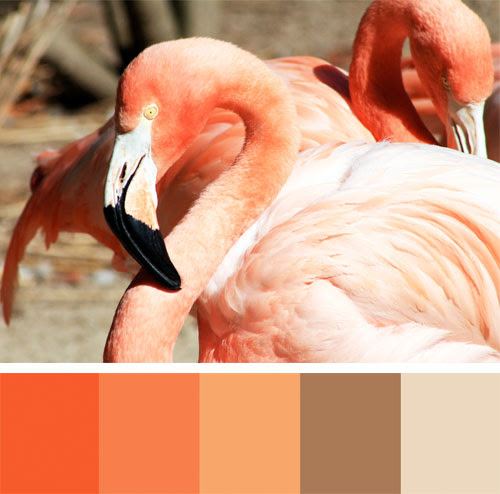 zoo