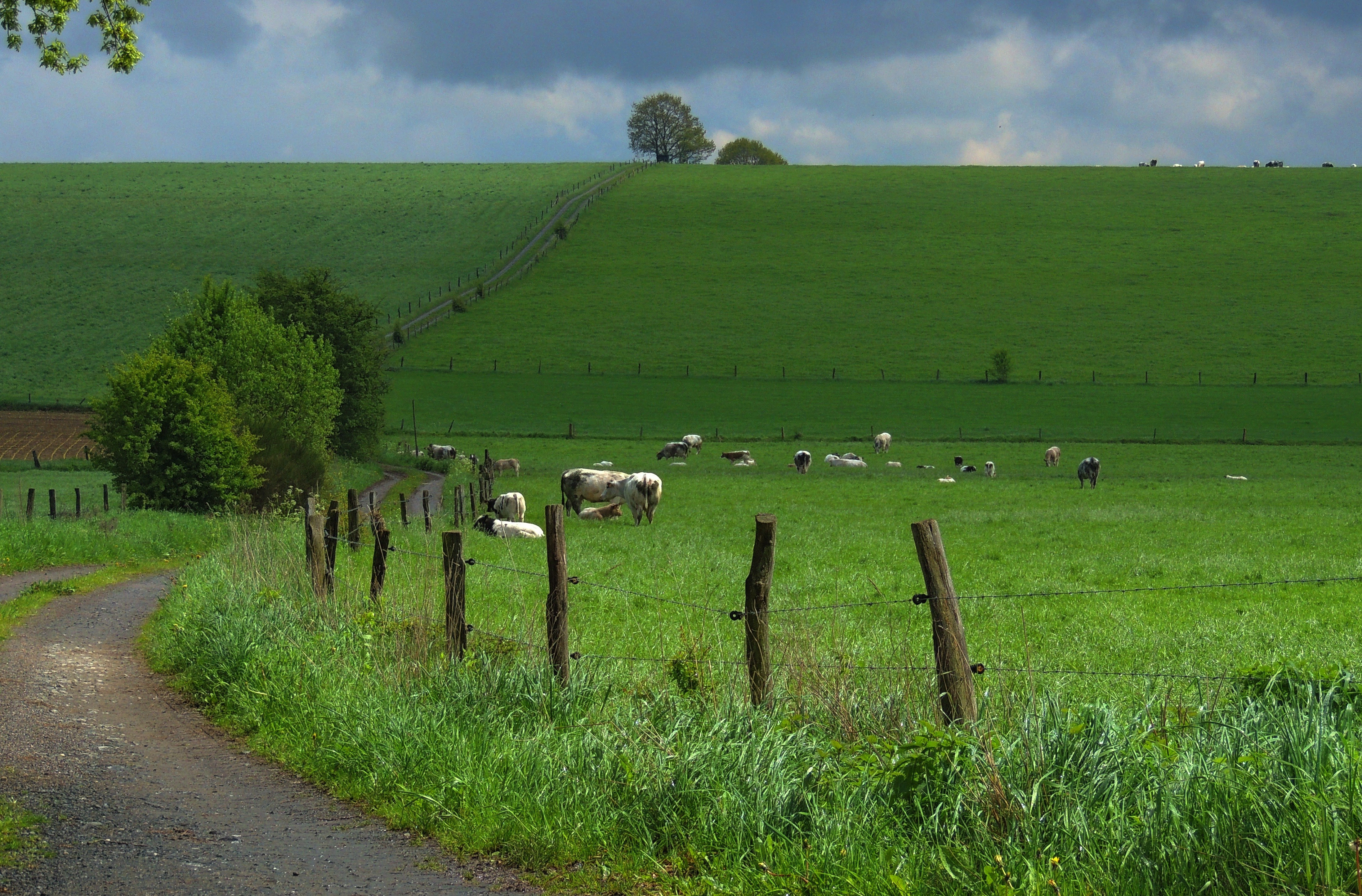 Image paysage campagnard - paycam