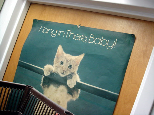 Hang in There, Baby!